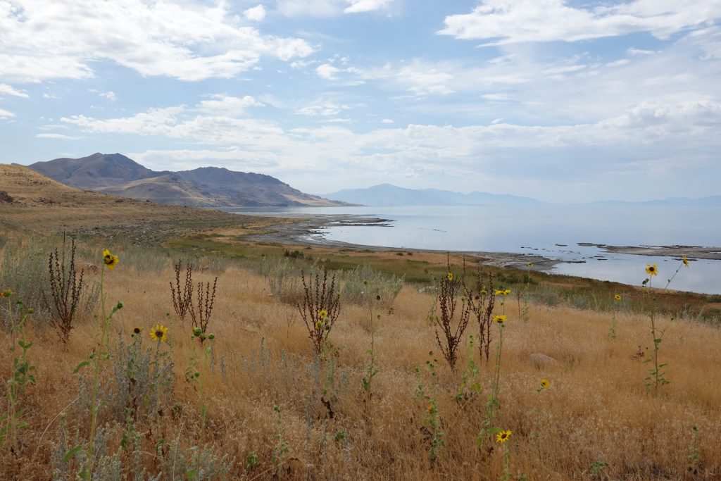 Antilope Island