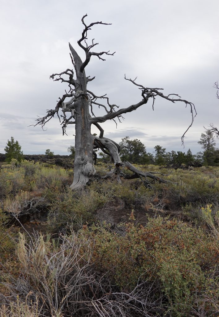 Craters of the Moon State Park