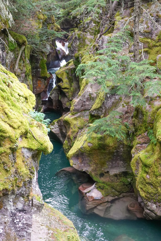 Schlucht am Avalanche Creek