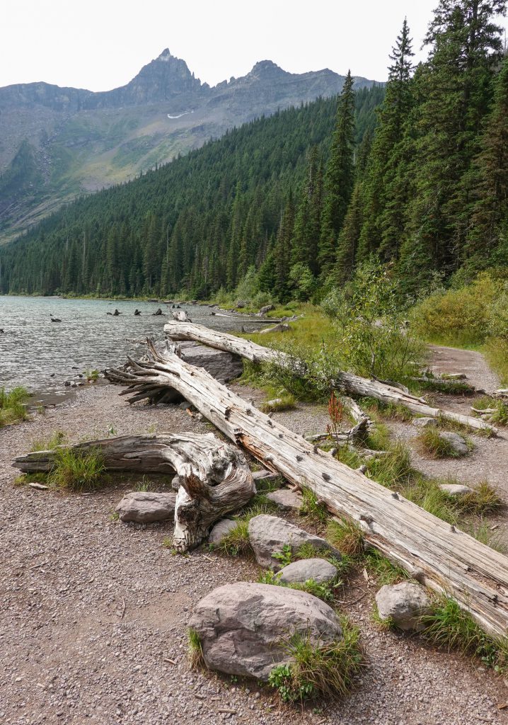 See im Glacier Nationalpark