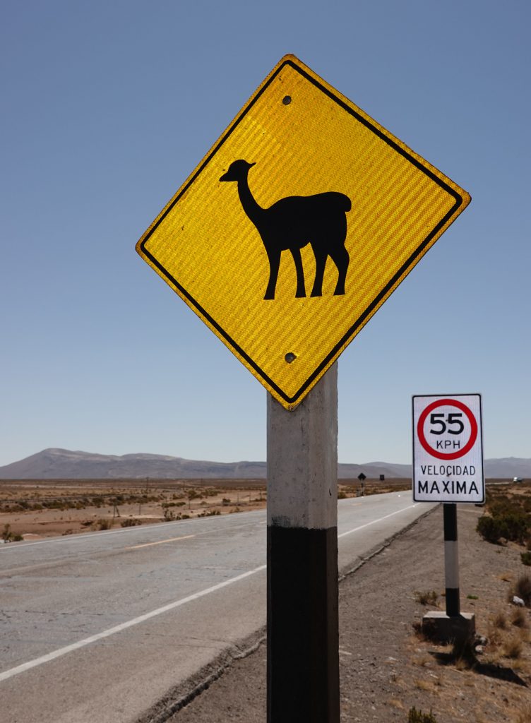 Peru Achtung Lama Schild