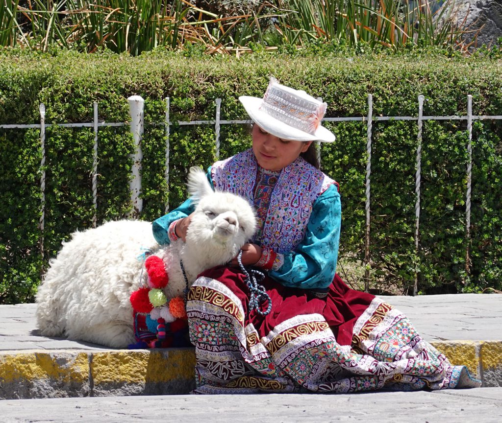 Peruvian girl with alpaca