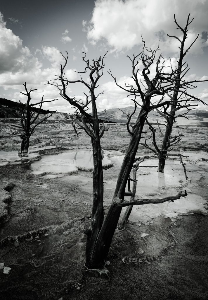 Yellowstone Nationalpark USA