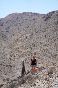 Nationalpark Los Cardones Argentinien