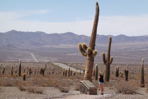 Nationalpark Los Cardones Argentinien