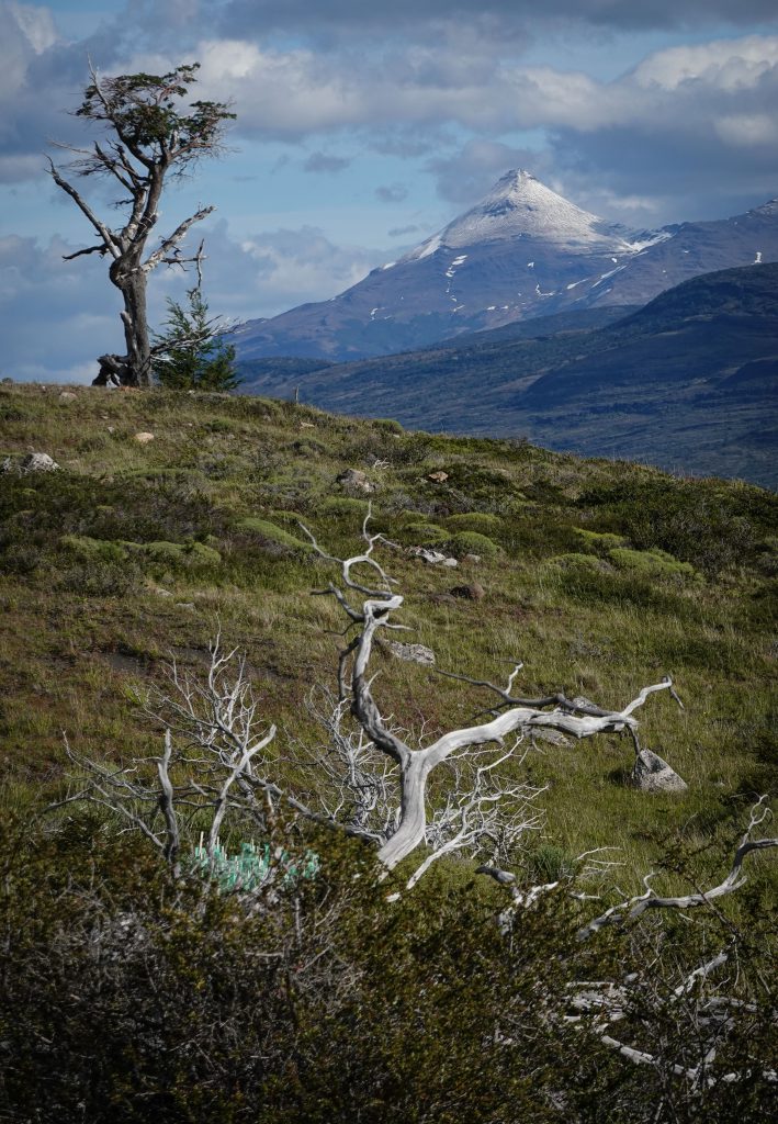 Patagonien