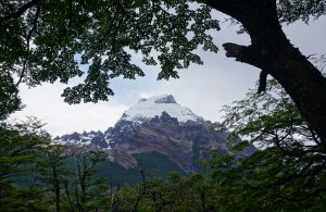 Cerro Torre Patagonien