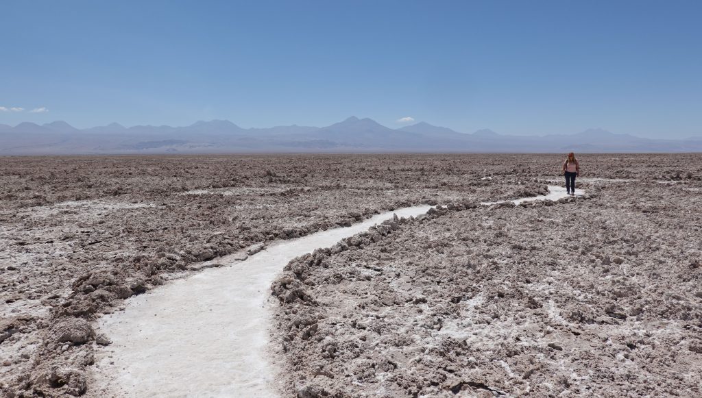 Salar de Atacama - Lago Chaxa Chile
