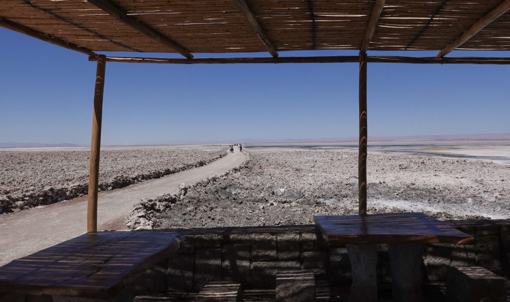 Salar de Atacama - Lago Chaxa Chile