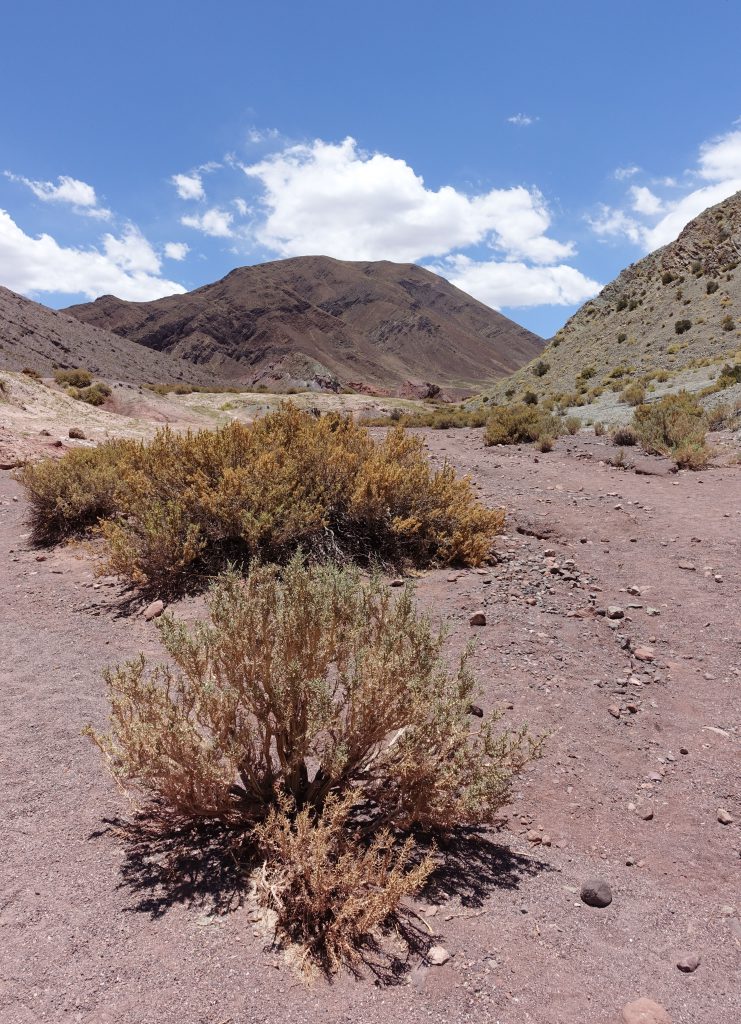 Valle de Arcoiris Atacama Chile