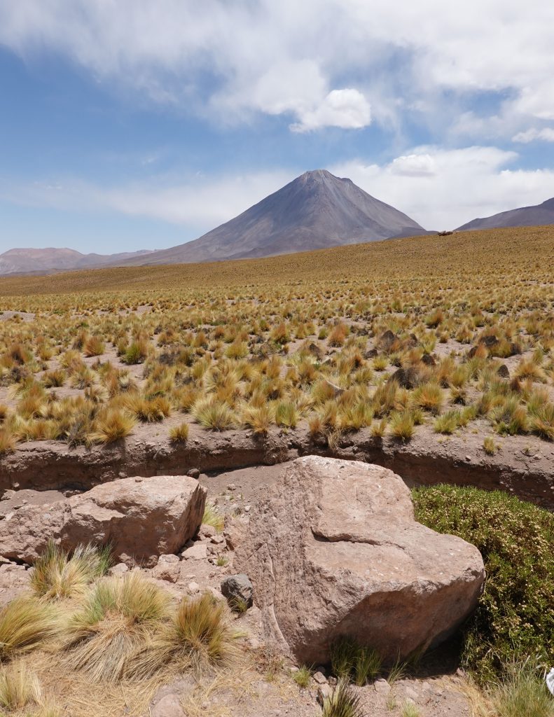 Altiplano Chile