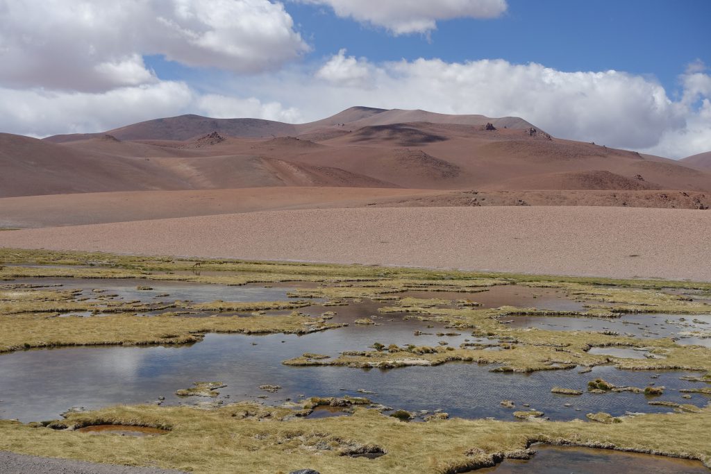 Altiplano Chile