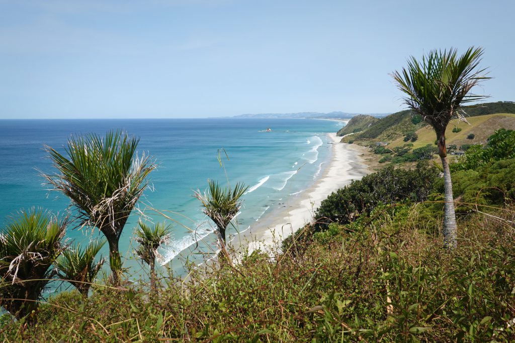 Northland Beaches