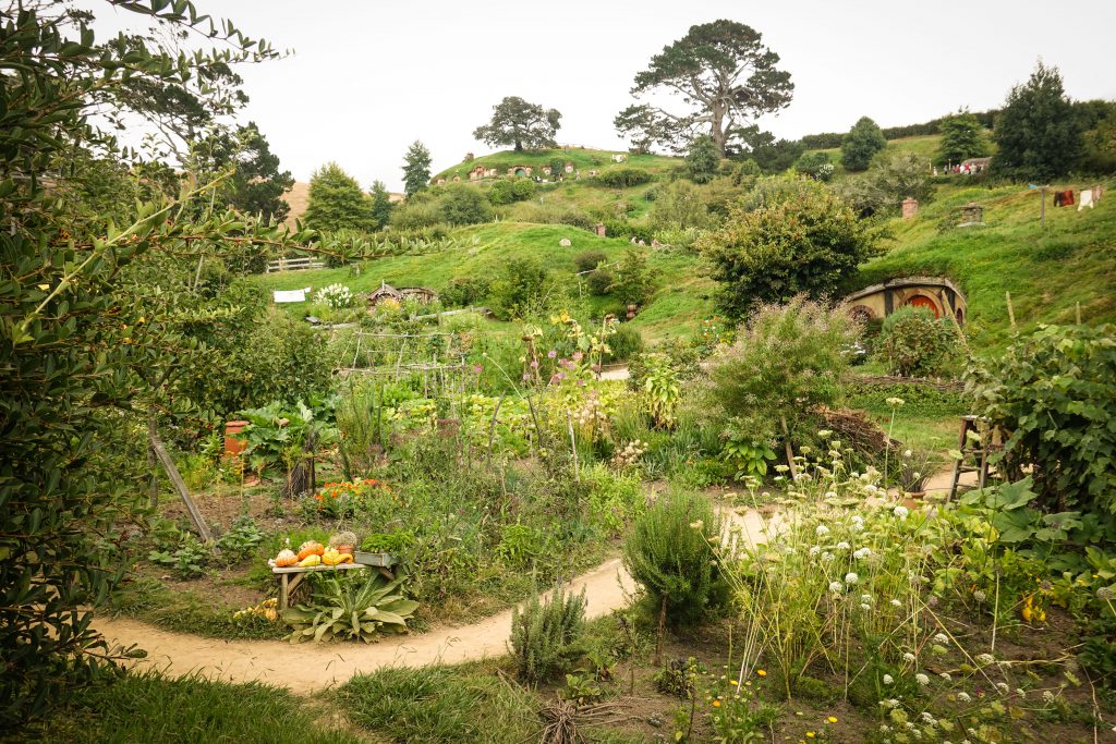 Hobbiton Movie Set