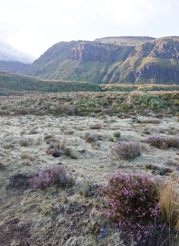 Tongariro Nationalpark