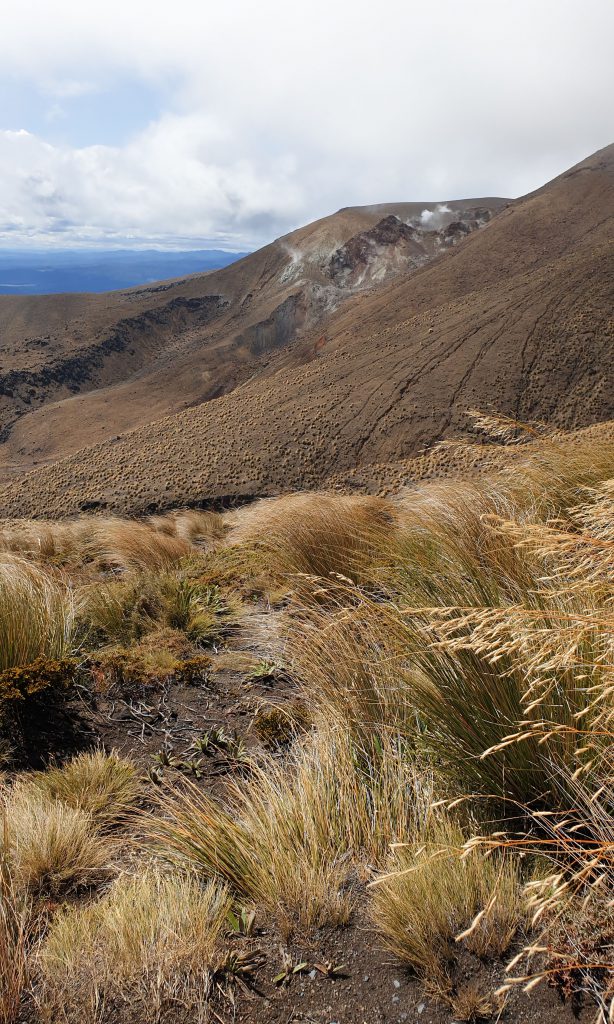 Tongariro Nationalpark