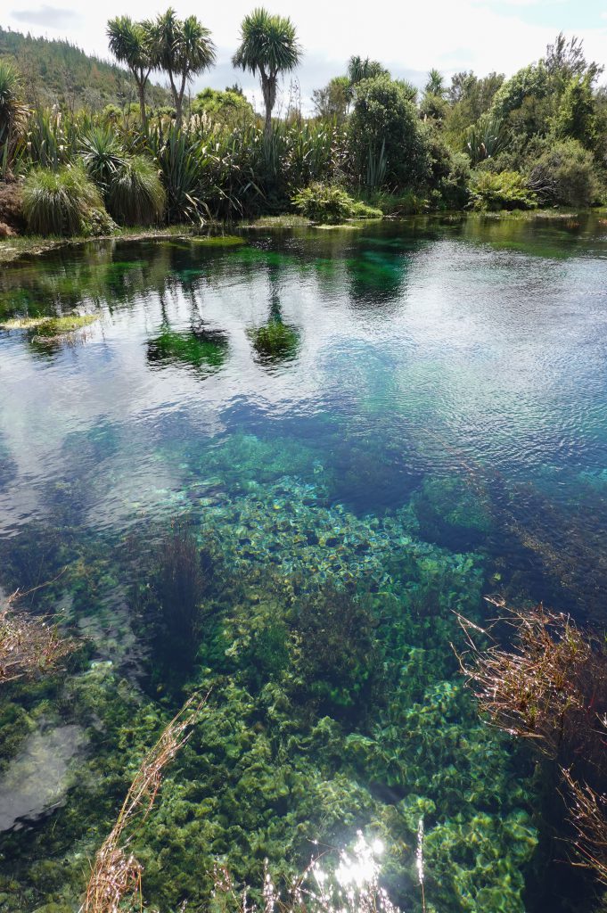 Waikoropupu Springs