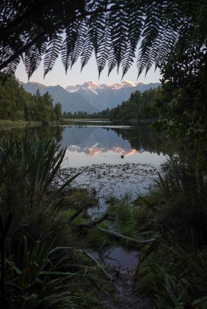 Lake Matheson mit Mount Cook und Mount Tasman