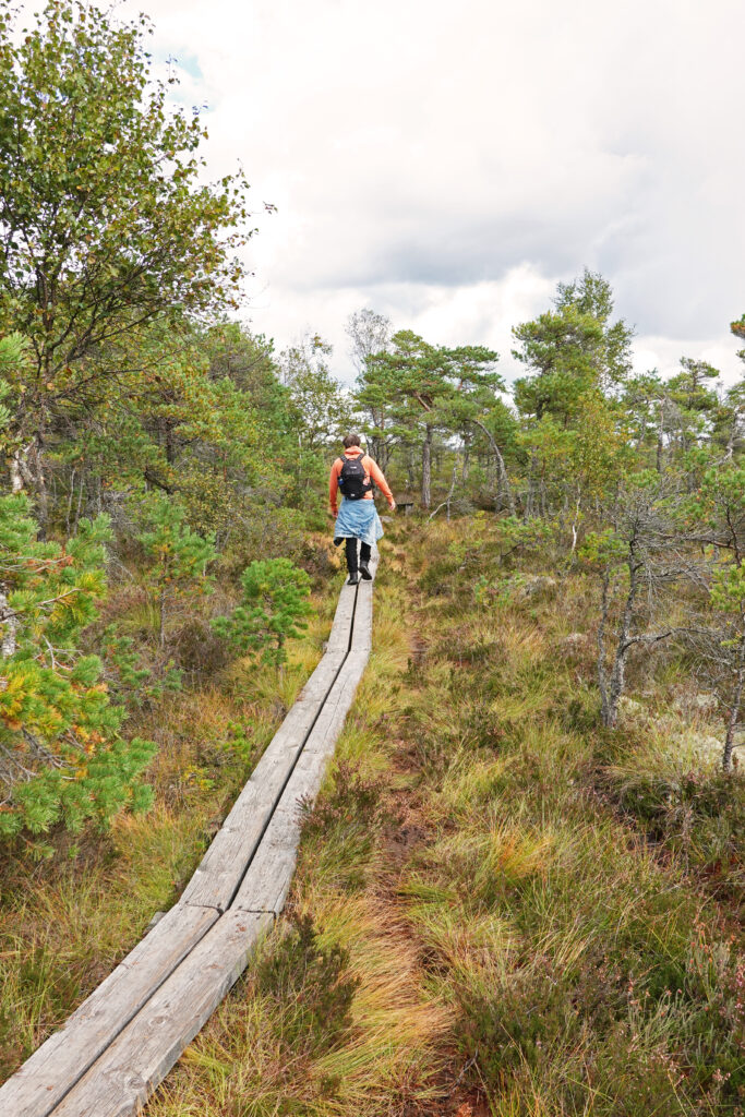 Wanderweg im Store Mosse Nationalpark in Schweden