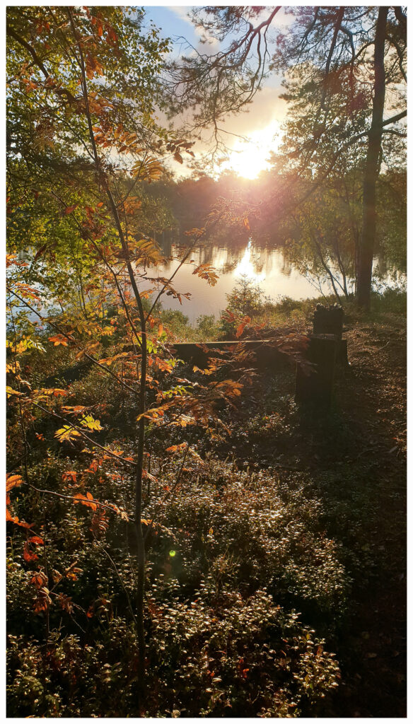 Sonnenaufgang an einem See in Schweden