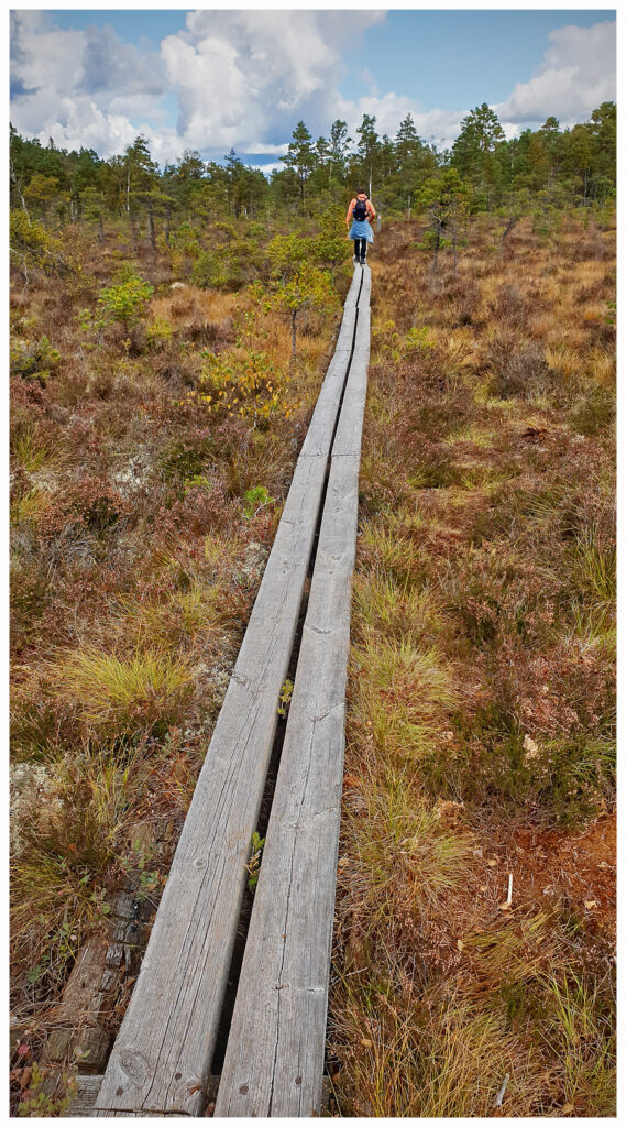 Store Mosse Nationalpark in Schweden