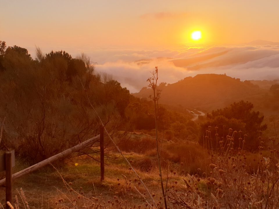 Sonnenuntergang in Andalusien/Spanien.
