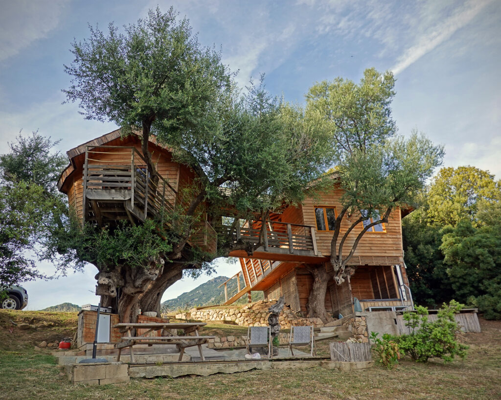 Rundreise über Korsika im Frühling: Baumhäuser in Olmeto