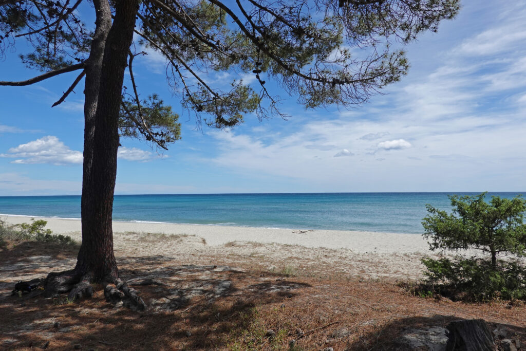 Rundreise über Korsika im Frühling: Strand bei Ghisonaccio