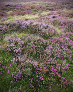 Fotogalerie Schottland England