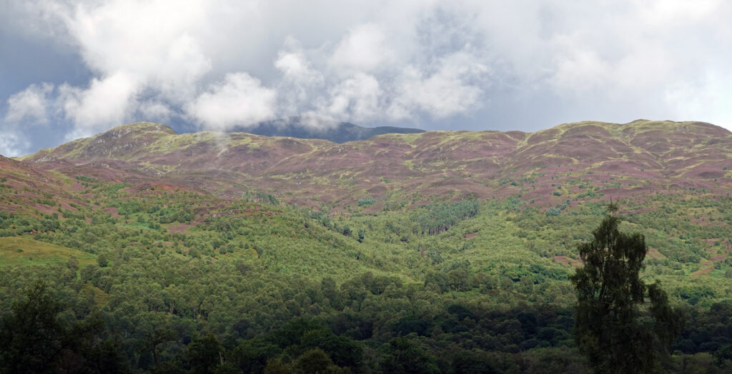 Roadtrip durch England und Schottland: The Trossachs Nationalpark
