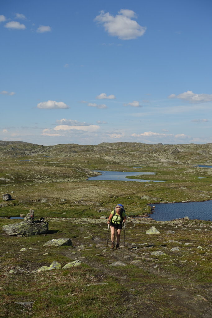 wandelen hardangervidda nationalpark noorwegen