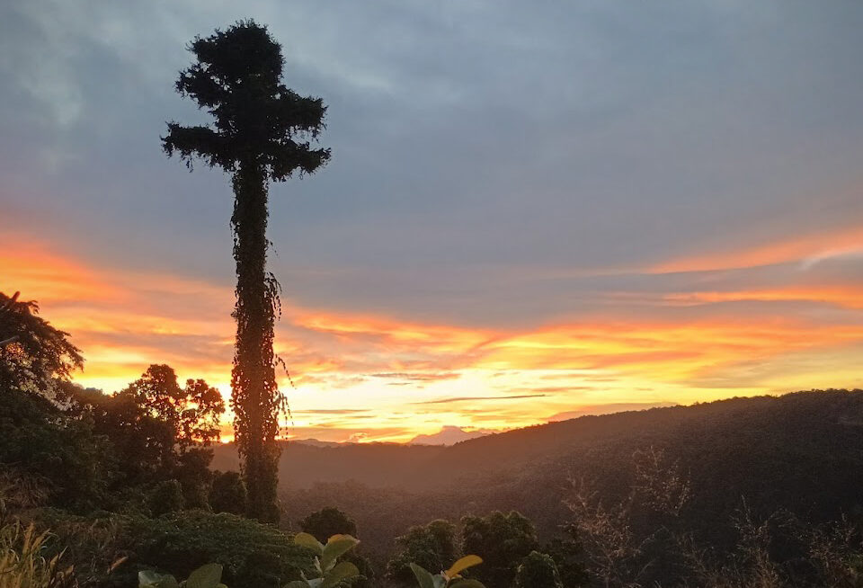 Reiseführer Solomon Inseln 2025