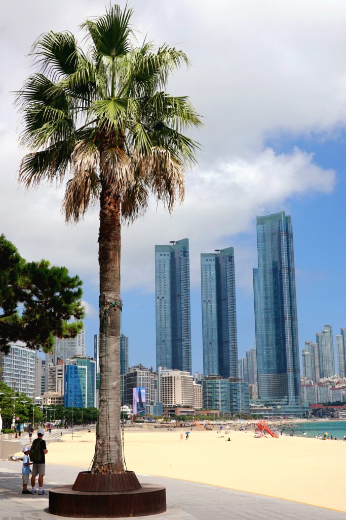 4 Tage in Busan