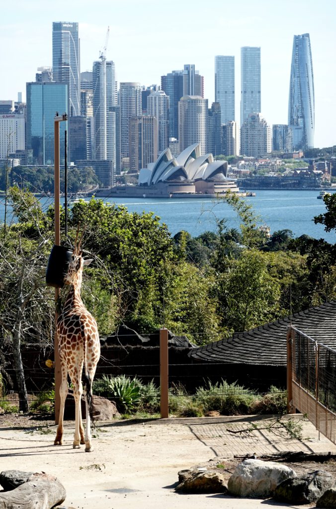 Sydney Canberra