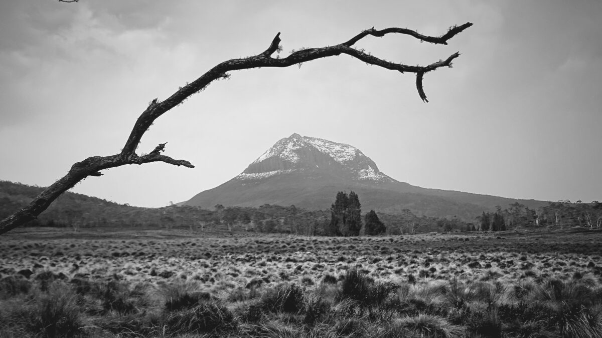 Fotogalerie Tasmanien