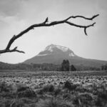 Fotogalerie Tasmanien