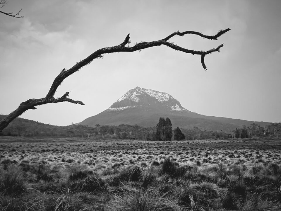 Fotogalerie Tasmanien