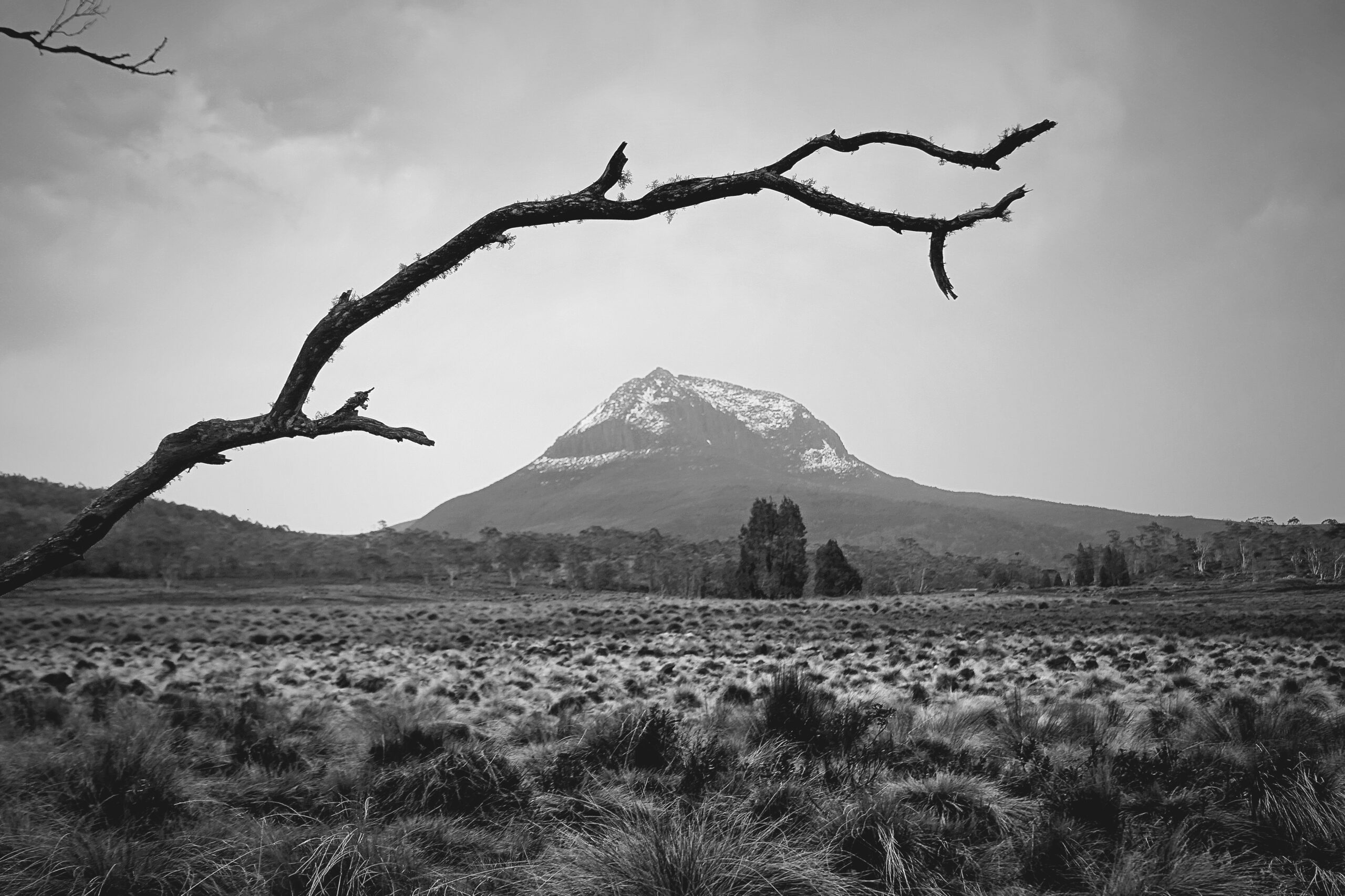 Fotogalerie Tasmanien