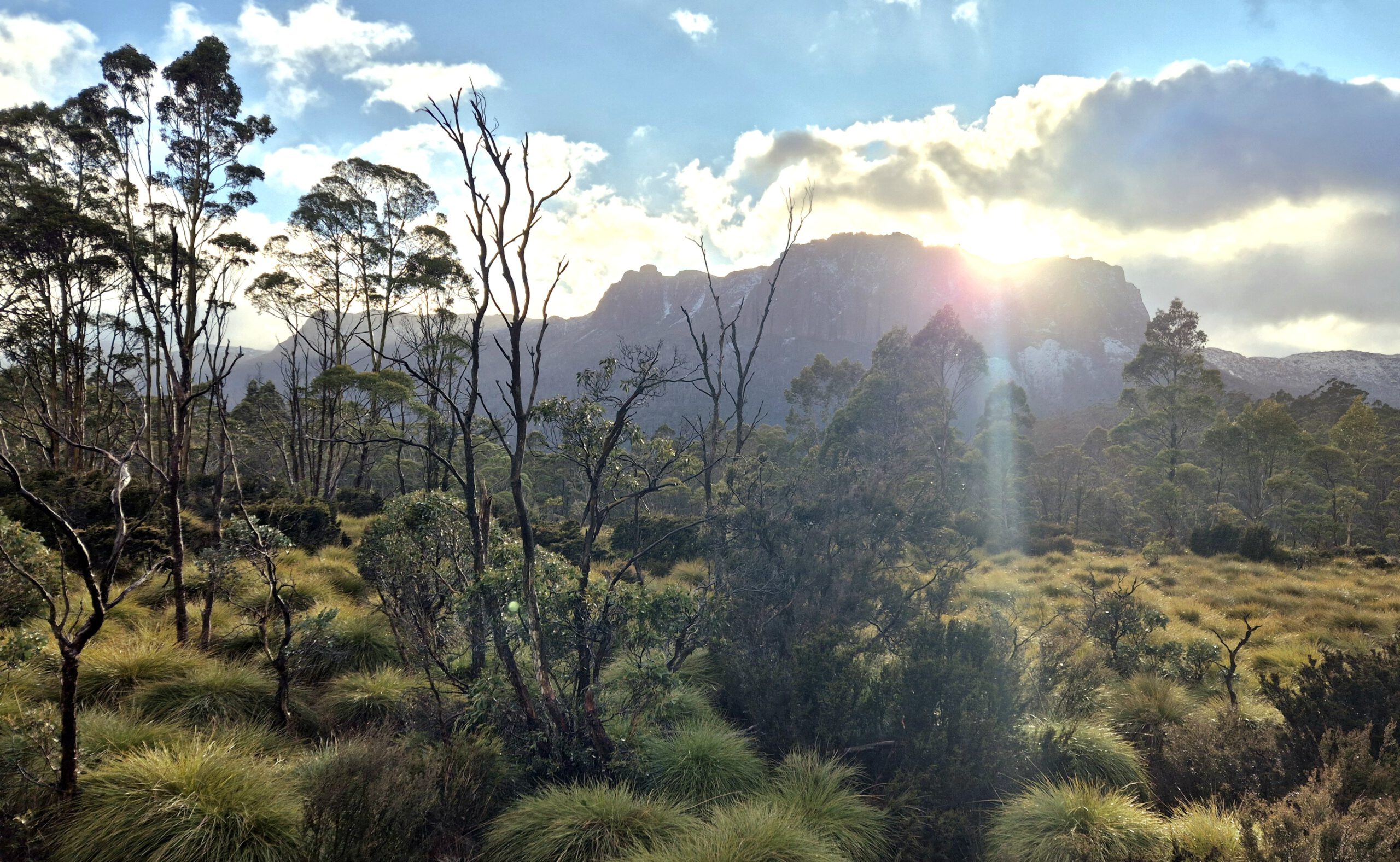 Tasmanien II: Surviving the Overland Track