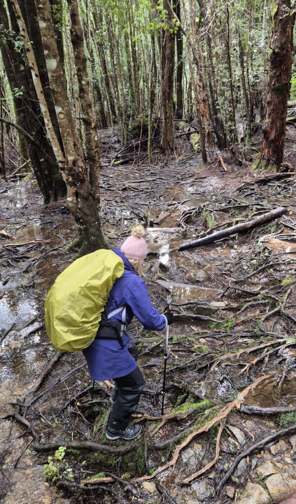 Tasmanien Overland Track