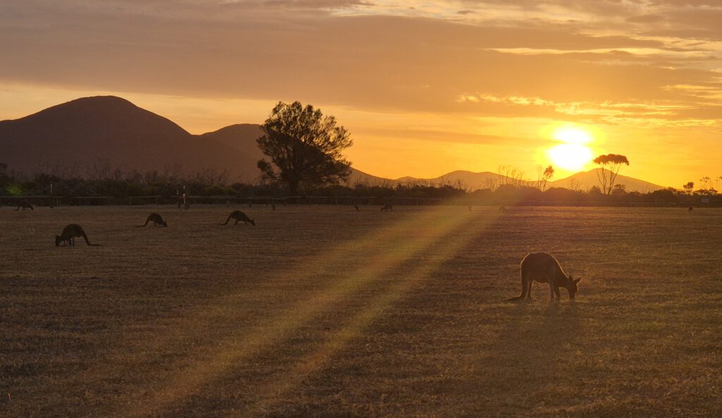 Esperance Lucky Bay Stirling Range