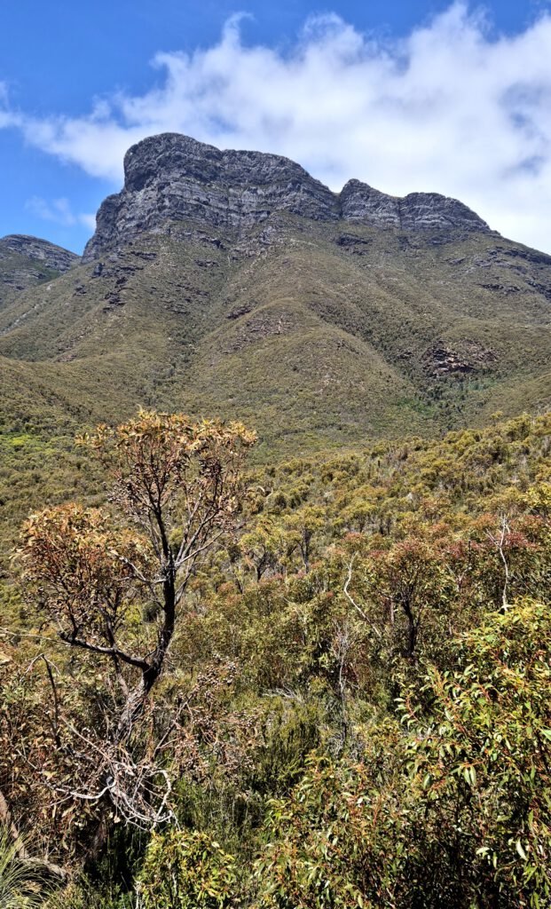 Esperance Lucky Bay Stirling Range