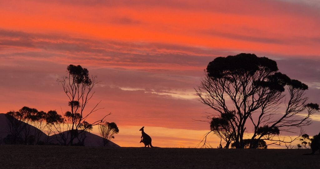 Esperance Lucky Bay Stirling Range
