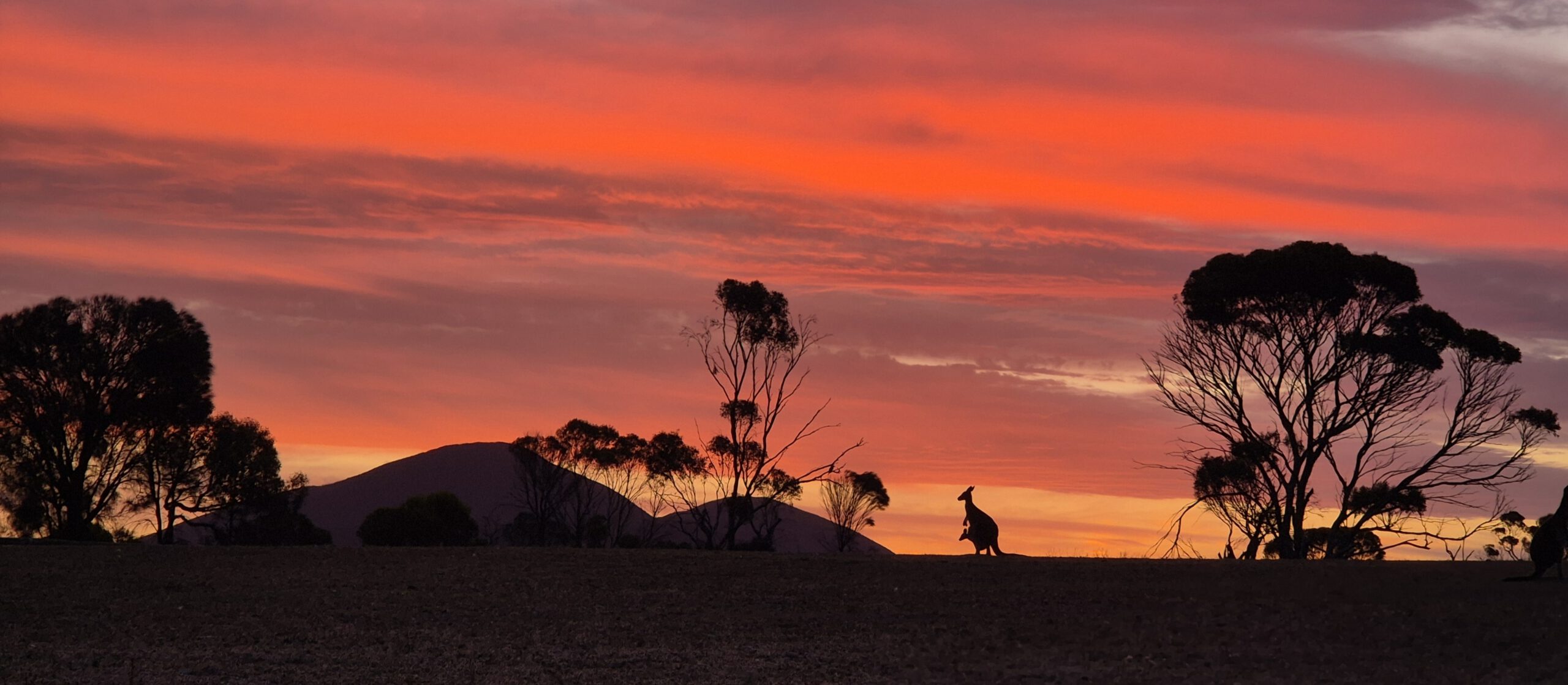 Fotogalerie Australien: der wilde Westen