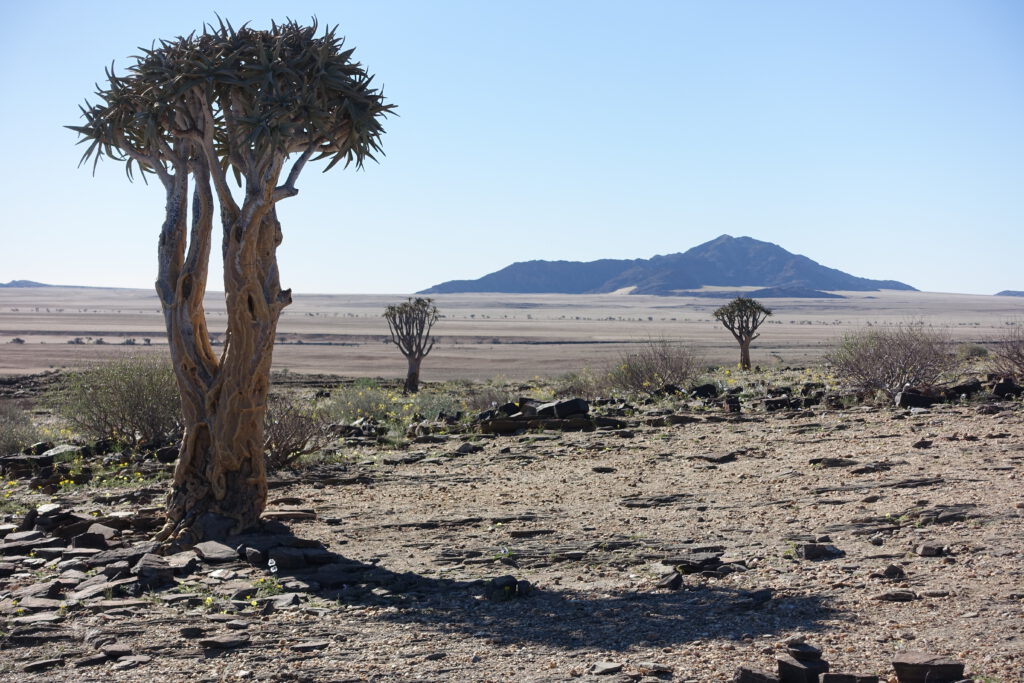 3 Monate Namibia und Botswana