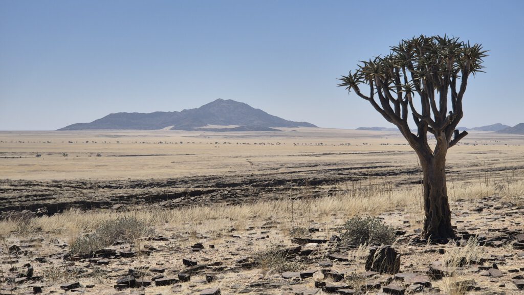 Sossusvlei Solitaire Namib-Wüste