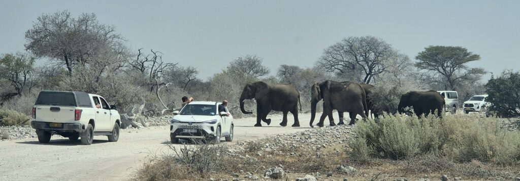 Twyfelfontein Etosha-Nationalpark Sambesi-Region