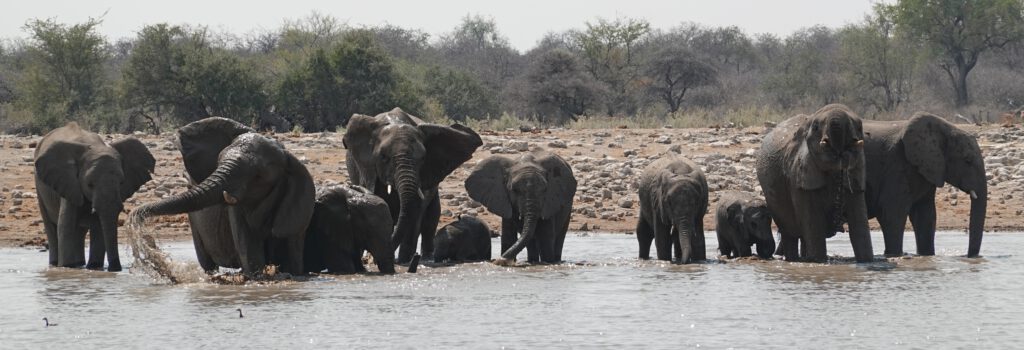 Twyfelfontein Etosha-Nationalpark Sambesi-Region