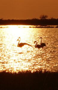 Fotos Botswana Simbabwe