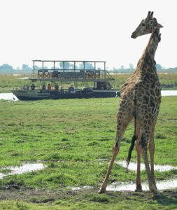 Fotos Botswana Simbabwe